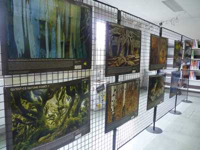 expoforet